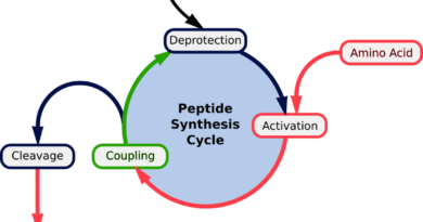 Peptide Synthesis