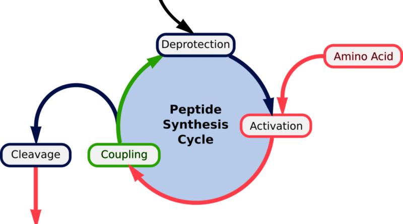 Peptide Synthesis