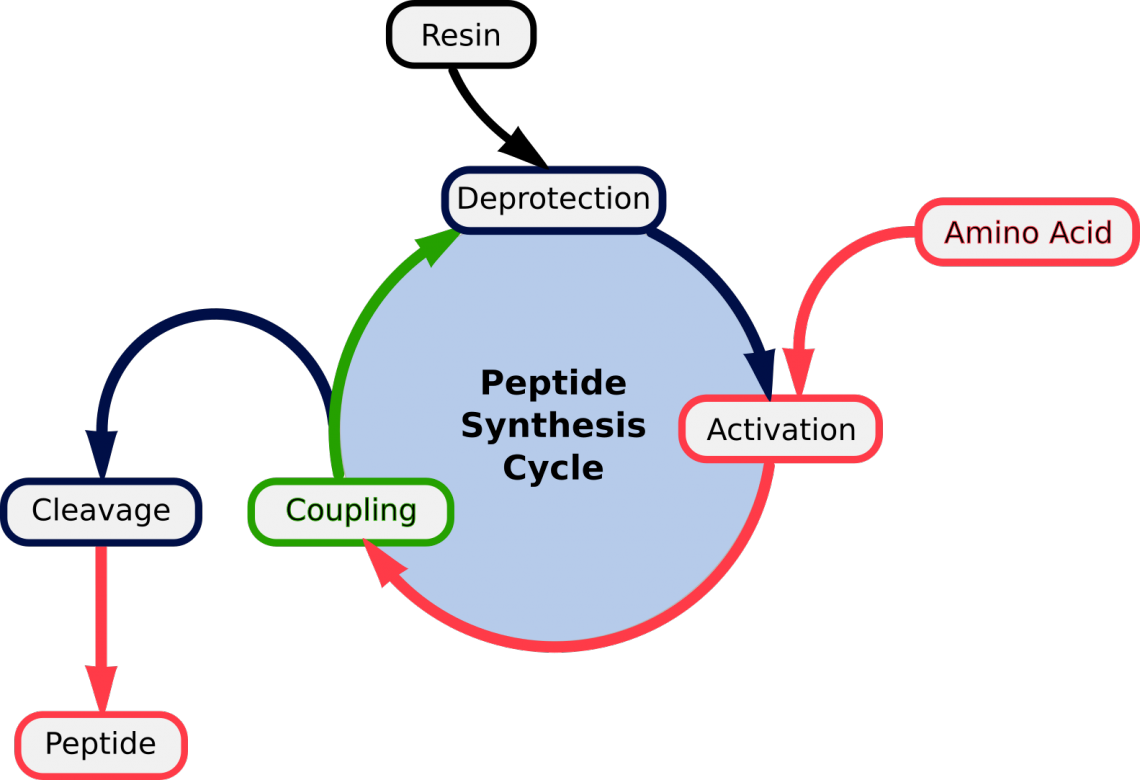 Peptide Synthesis