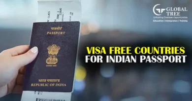 Indian Visa for Equatorial Guinea & Eritrean Citizens – Visa Guide