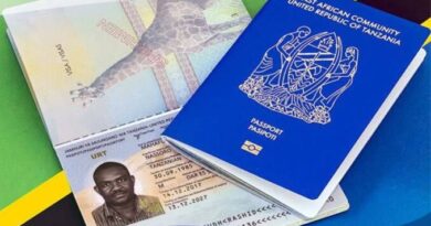 Indian Visa for Tanzanian & Vietnamese Travelers – Application Guide