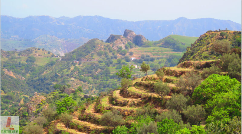 Aspromonte National Park