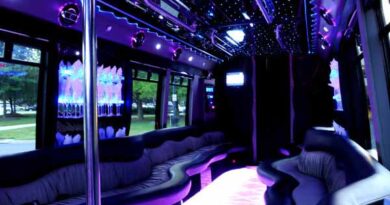 Party Bus