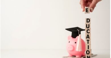 Economics Education Levels Explained