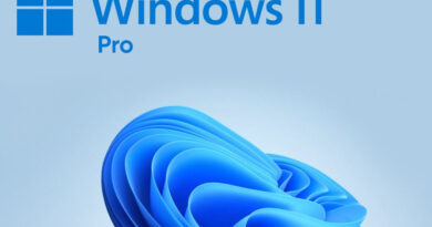 Windows 11 Pro Upgrade