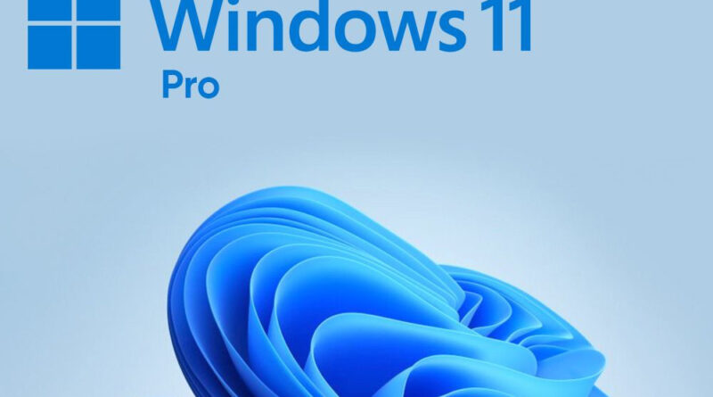 Windows 11 Pro Upgrade