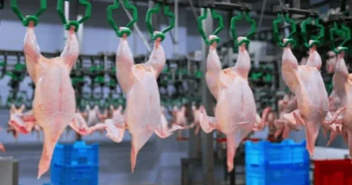 slaughtering equipment