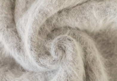 Create a Cozy Home with Elegant Interior Design Concepts