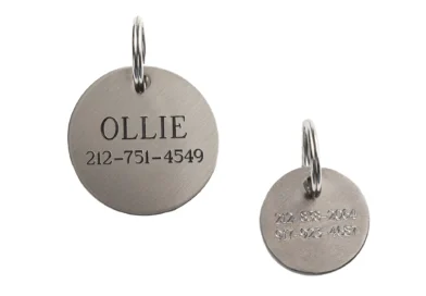 Engraved Dog Tag: The 2026 Ultimate Guide to Pet Safety and Style
