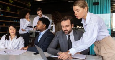 Ownership of Companies and Business Ventures