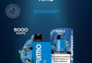 From 2500 to 6000 Puffs: The Engineering Leap Between Pod Salt Go and Fummo King Explained