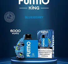 From 2500 to 6000 Puffs: The Engineering Leap Between Pod Salt Go and Fummo King Explained