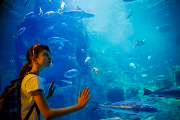 SEA Aquarium vs Singapore Zoo: Which Is Better for Kids?