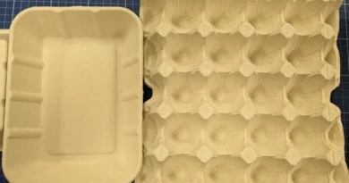paper pulp packaging