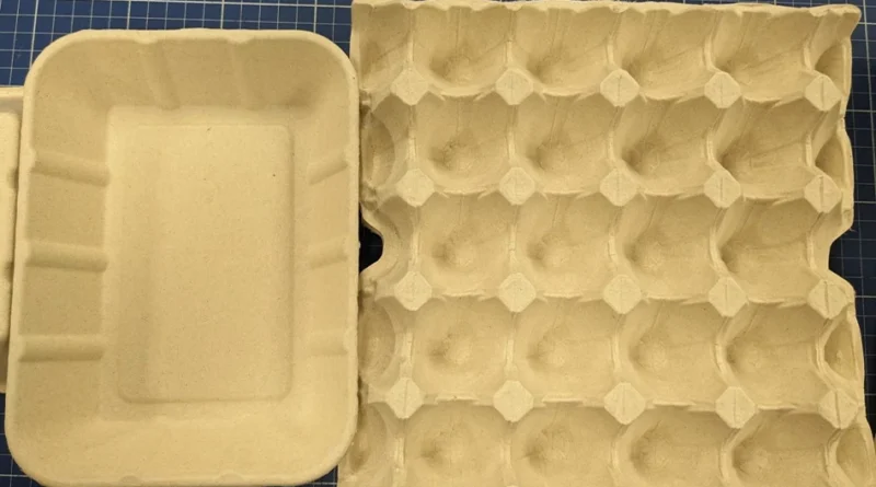 paper pulp packaging