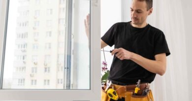 Window Installation Service