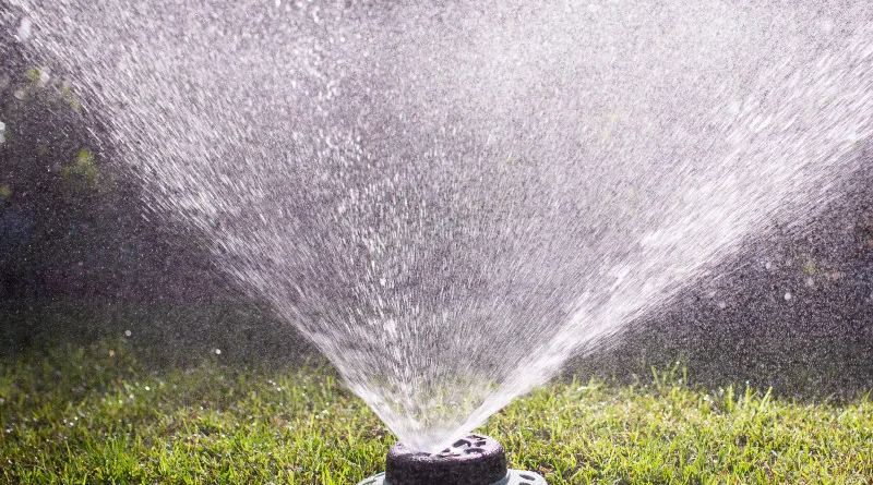Sprinkler