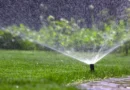 drip irrigation