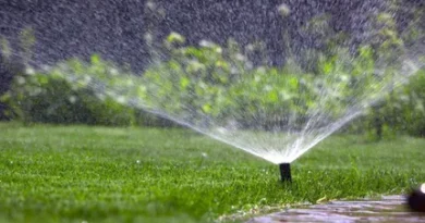 drip irrigation