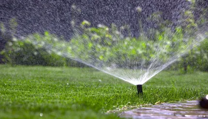 drip irrigation