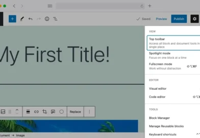 Wordpress website editor