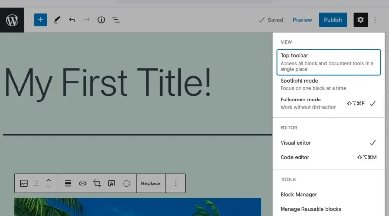 Wordpress website editor