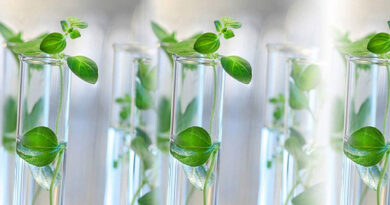 China Tissue Culture
