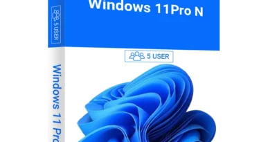 licenta windows 11