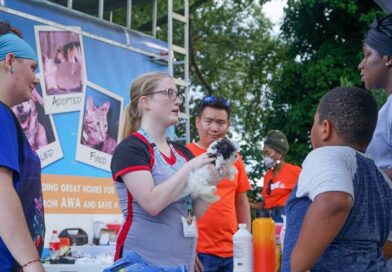 How Animal Hospitals Prepare For Community Outreach Programs